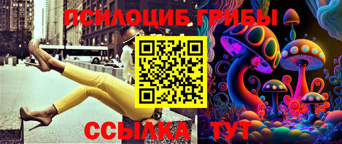 Галлюциногенные грибы GOLDEN TEACHER Острогожск