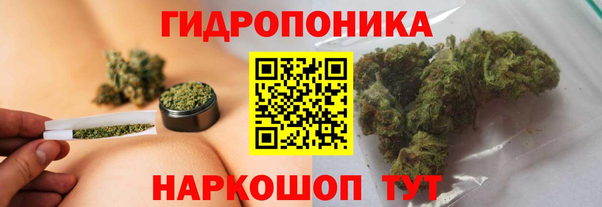 Конопля план  Бошки Шишки индика  Острогожск  Вход с VPN  Каннабис индика 